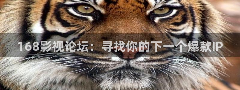 穿梭在韓國影視世界的小說